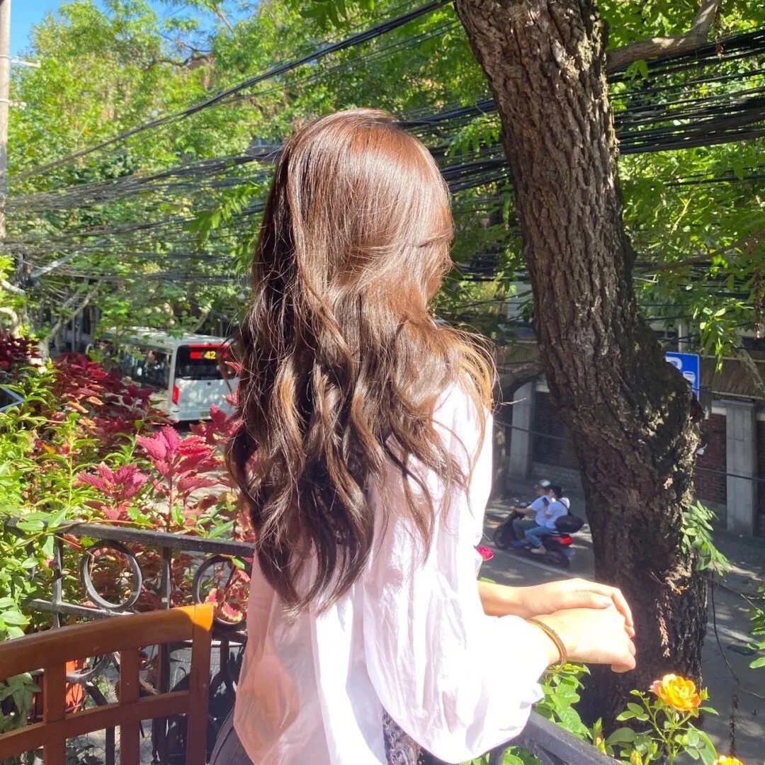 我家的律师很麻烦